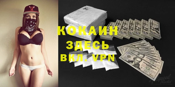 винт Ладушкин
