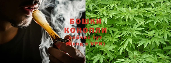 PSILOCYBIN Лабытнанги