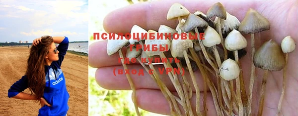 PSILOCYBIN Лабытнанги