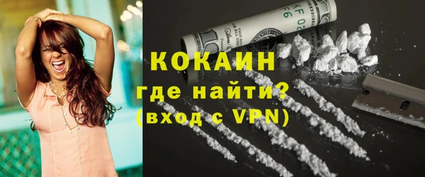 PSILOCYBIN Лабытнанги